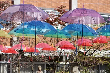 画像:大学祭の様子