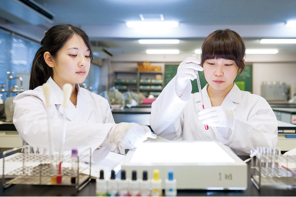 画像:実習を行う学生