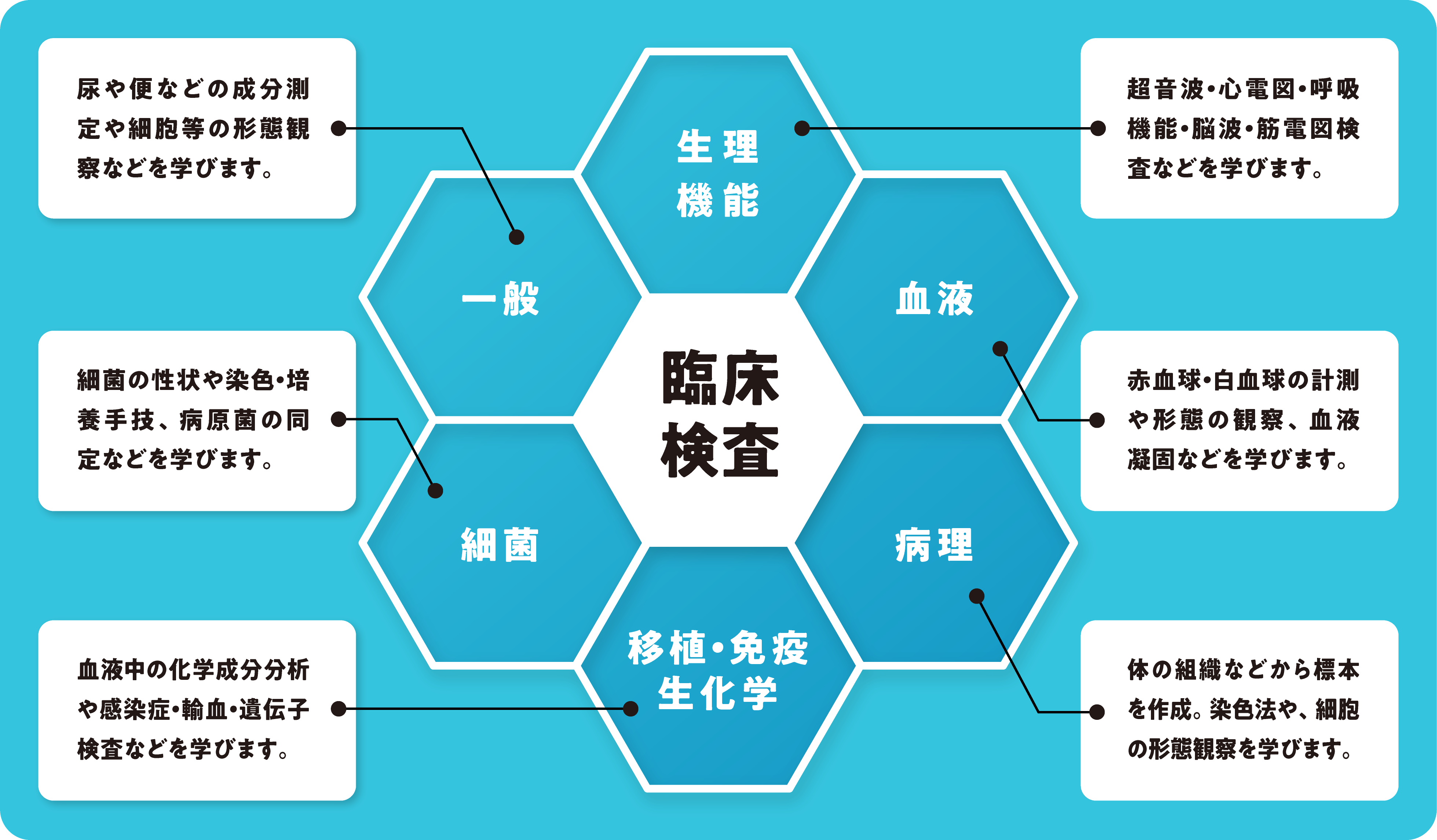 画像:臨床検査の説明