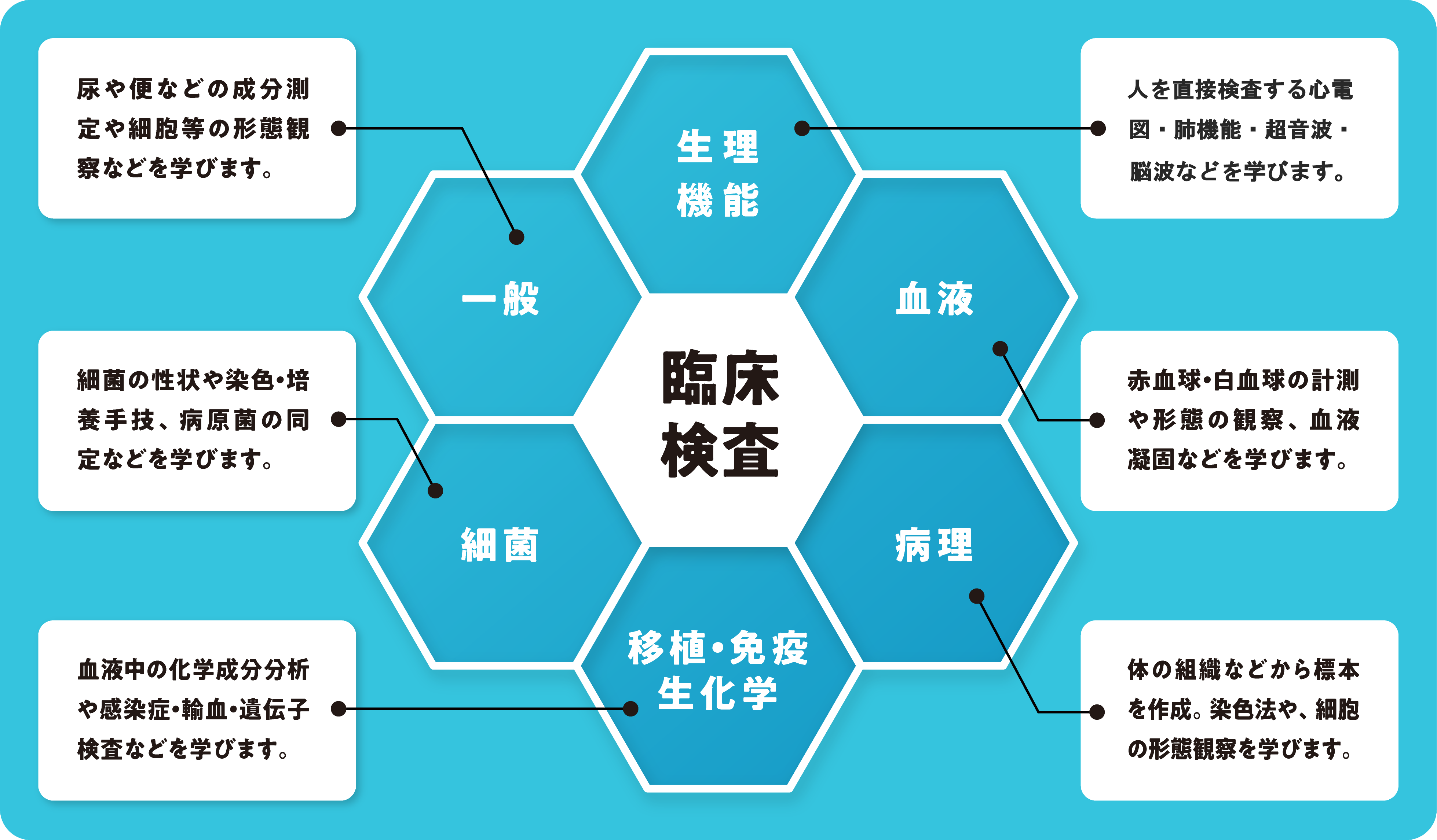 画像：臨床検査の説明